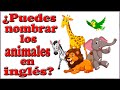¿Te sabes los animales en inglés? Trivia/Test