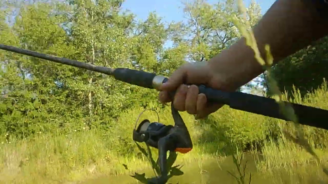 fishing the farm pond with mini trout magnet!
