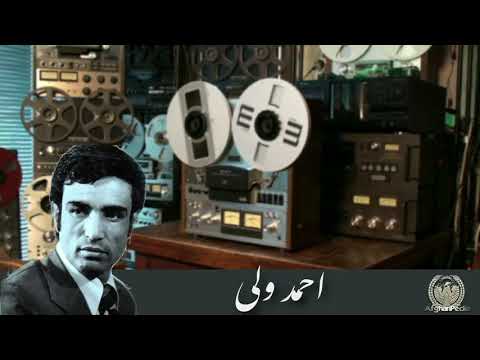 دلم ز عشق جهانگیر آهوان خالیست