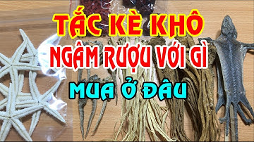 Tắc kè khô - Tắc kè khô ngâm rượu - Cách ngâm rượu tắc kè khô