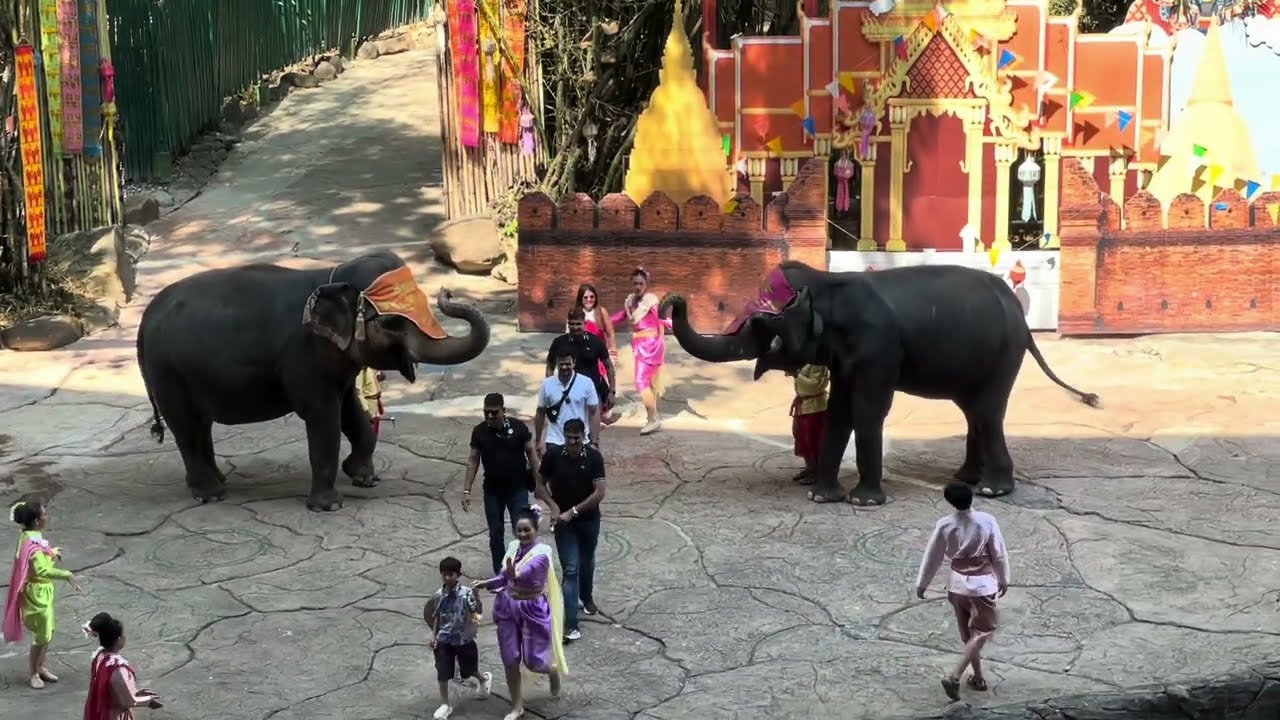 Full tour thailand zoo