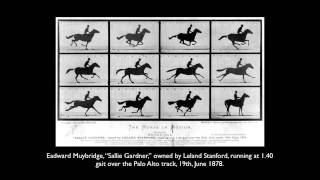 Famous Visualizing Time & Space:  19th Century Connections between Photography, Science, and Art Wealth