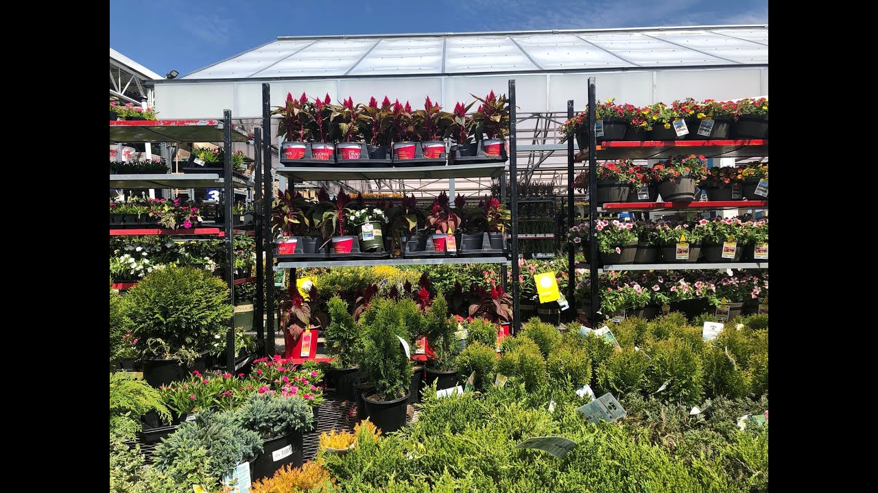 💐At Lowes garden shop looking around at flowers and plants 5/112022💐 YouTube