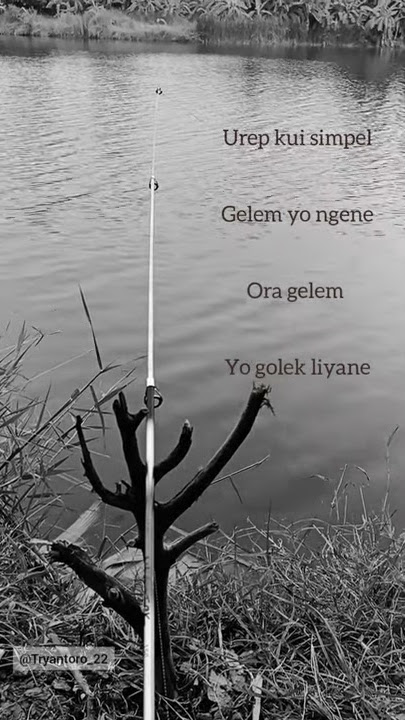 STORY WA mancing santuy