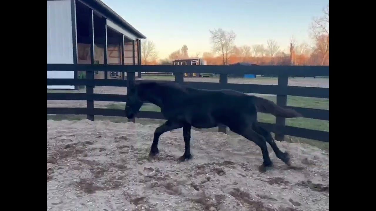 Thunderstruck at play!