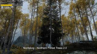 Skyrim Aspen Tree mod FPS comparison - Nordskog 2.0