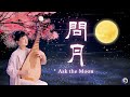 Ask the moon beautiful touching pipa music  chinese music  musical moments