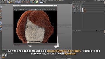 Ornatrix C4D v0.1.7 highlights