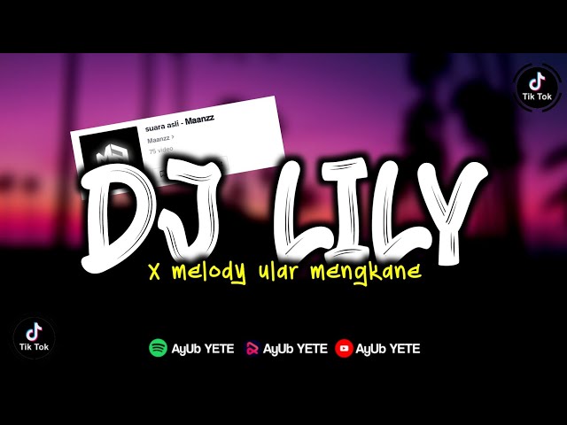 DJ LILY ALAN WALKER X SAMPAI BAWAH VIRAL TIKTOK MAANZZ MENGKANE class=