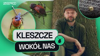 GATUNEK ZERO #15: CZY KLESZCZE MAJĄ KLESZCZE? CZY JEST ICH CORAZ WIĘCEJ? JAK SIĘ NIE DAĆ IM ZŁAPAĆ?