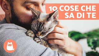 10 COSE che il tuo GATTO SA su di TE ❤ Scoprile!