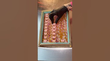 Bow Soap Inspired By My Daughter🎀 #soapmaking #soap #handmadesoap #soaping #soaps #soapbars #cpsoap