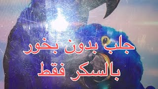 جلب الحبيب القوي بالسكر و تسخير قلبه عليك