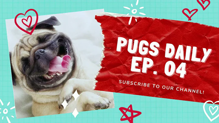 Top 30 Funniest and Cutest Pug Puppy 2021 | Pugs Daily Ep4