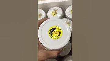 3 loại Mồi Câu Cá Lăng Cá Da Trơn hiệu quả (lăng,trê,tra,basa,vồ đém,xác,ngạnh,ngát  #moicaucadatron