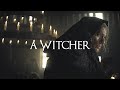 (Witcher) Geralt of Rivia | A Witcher