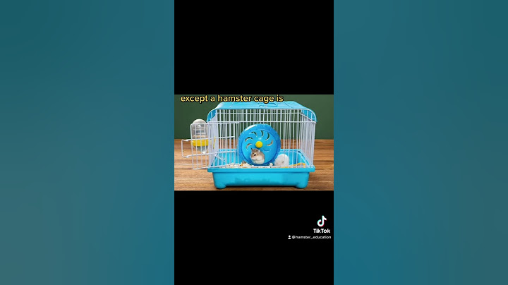 trend about hamster cages 🐹🐹🐹🐹