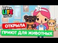 ОТКРЫЛА ПРИЮТ ДЛЯ ЖИВОТНЫХ в Тока Бока 🐈 Toka Life world