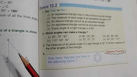 Class 5 Maths exercise 13.2...types of triangles and angles