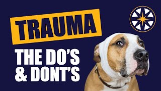 The Do's and Don'ts of Veterinary Trauma