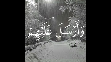 سورة الفيل كاملة | قارئ محمد اللحيدان | كروما القرآن