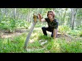 Surviving with Giant KING COBRA in Jungle of BALI!