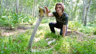 Surviving with Giant KING COBRA in Jungle of BALI! by Miller Wilson 401,346 views 4 months ago 20 minutes