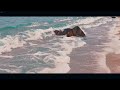 Houdini hip at dusk beach