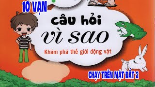 10 VẠN CÂU HỎI VÌ SAO ? - KHÁM PHÁ THẾ GIỚI ĐỘNG VẬT - CHẠY TRÊN MẶT ĐẤT 2 screenshot 1