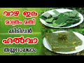 വാഴയില മാത്രം മതി കിടിലൻ ഹൽവ തയ്യാറാക്കാം | Banana Leaf Halwa |Lillys Natural Tips