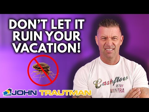 How To Prevent Bed Bugs In A Vacation Rental