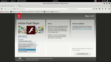 How to install flash player in kali linux