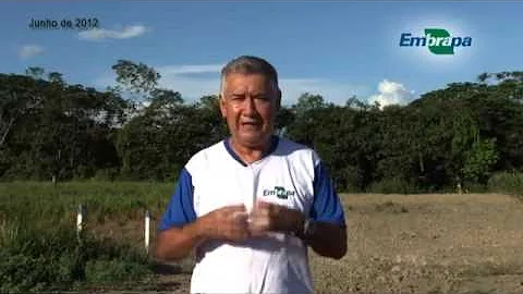 Quais os tipos de solos da Amazônia?