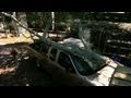 Never Saw Tree Branches Above a Car | Gator Boys