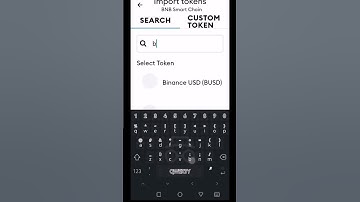 How to import BUSD to MetaMask | MatMate