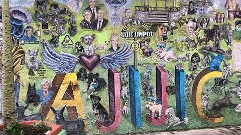 AJIJIC / LAKESIDE -RETIRED IN LAKESIDE-MANY COLORS, MURALS IN LAKESIDE AND OTHER PLACES IN MEXICO