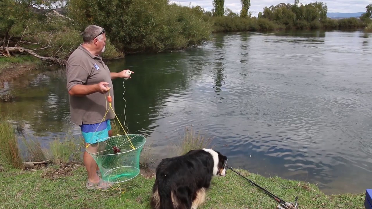 Catching Murray cray YouTube