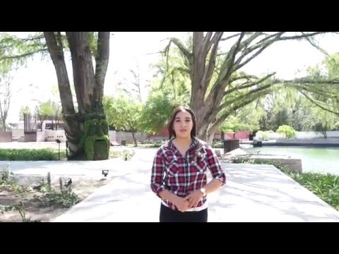 Language Arts- aw au Language Arts- aw au
