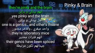 Pinky and Brain lyrics مترجمة