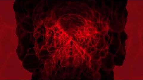 Askondo x Stefan Girlich  –  Skull