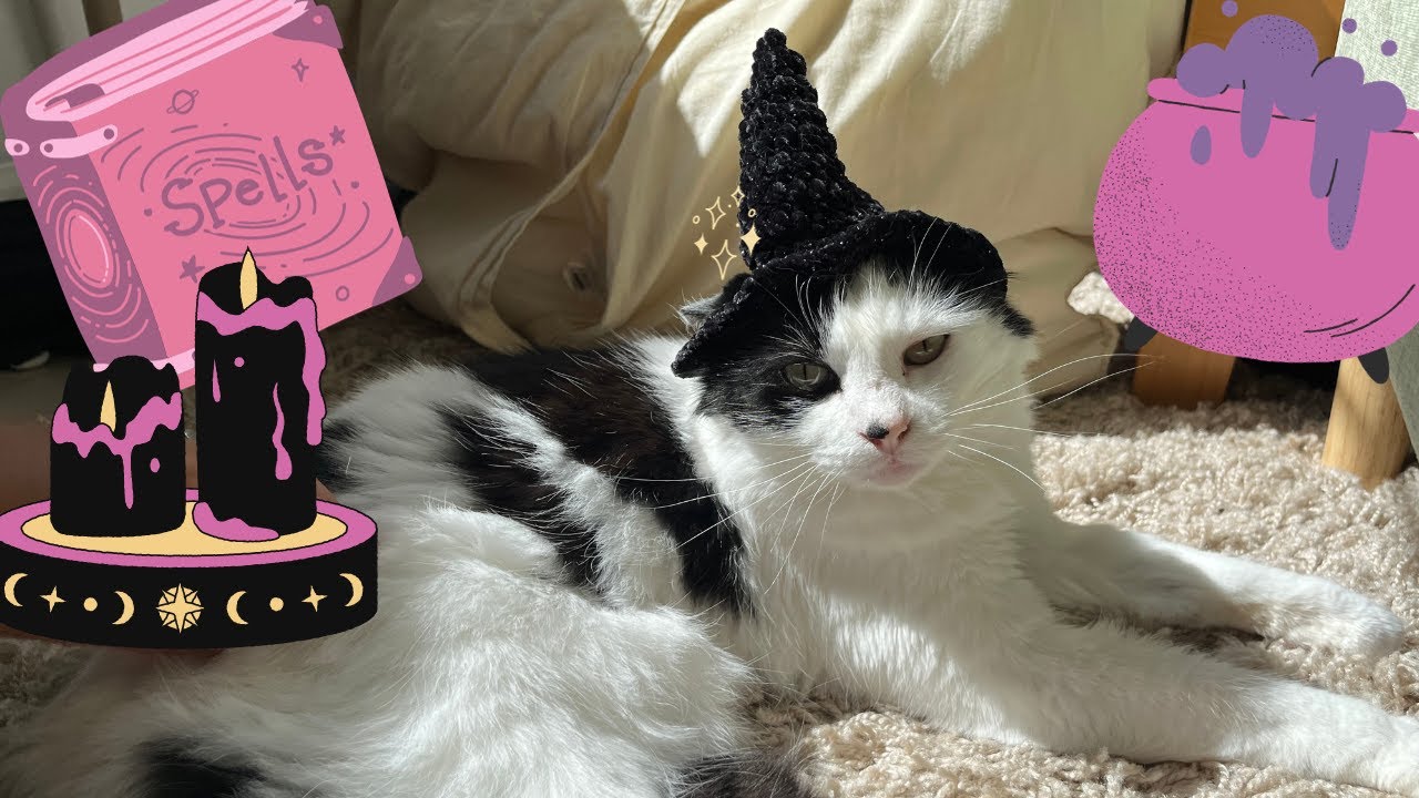 how-to-crochet-a-witch-hat-for-your-cat-youtube