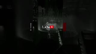 anis dziri أش حال نغني على الحب