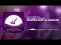 Raoul Russu x Alina Jais - Printre nori si ganduri | Nicolas Piper Remix