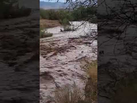 Tonto Basin flooding triggered by monsoon storm