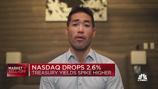 Nasdaq 100 faces a pullback greater than 50%, investor Dan Suzuki warns