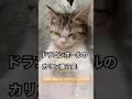 カリン様が宿ったみたい