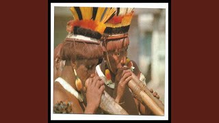 Flauta Indígena E Sons Da Natureza Acalmar E Relaxar a Mente