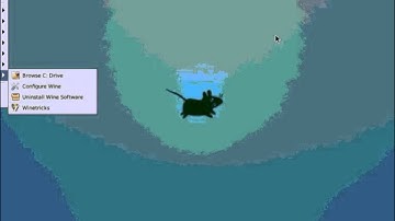 Install wine HQ on Ubuntu 14.04 to run windows softwares.