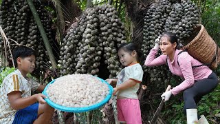 Download Lagu Bosvruchten oogsten: hoe je palmzaden verwerkt voor de verkoop en hoe je zoete soep kookt van pal... MP3 Download Lagu Bosvruchten oogsten: hoe je palmzaden verwerkt voor de verkoop en hoe je zoete soep kookt van pal... MP3