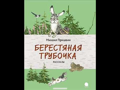 Берестяная трубочка, Пришвин М.